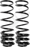 APDTY 144441 Coil Springs