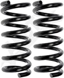 APDTY 144445 Coil Springs Replaces 14047217, 14065824