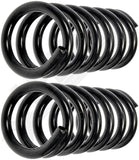 APDTY 144445 Coil Springs Replaces 14047217, 14065824