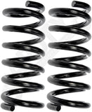 APDTY 144445 Coil Springs Replaces 14047217, 14065824