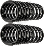 APDTY 144446 Coil Springs