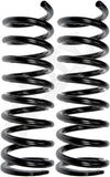 APDTY 144448 Coil Springs Replaces D9AZ5310S