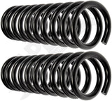 APDTY 144450 Coil Springs Replaces 334460, 3777134