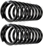 APDTY 144451 Coil Springs