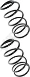 APDTY 144456 Coil Springs