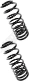 APDTY 144460 Coil Springs