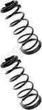 APDTY 144463 Coil Springs