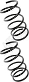 APDTY 144466 Coil Springs