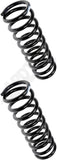 APDTY 144476 Coil Springs Replaces 9781466, 9785496