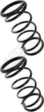 APDTY 144482 Coil Springs