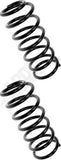 APDTY 144485 Coil Springs