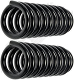 APDTY 144488 Coil Springs Replaces DM2112345