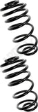 APDTY 144490 Coil Springs