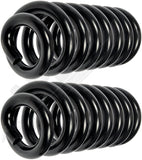 APDTY 144493 Coil Springs
