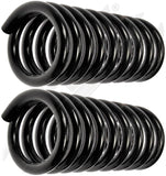 APDTY 144496 Coil Springs