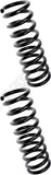 APDTY 144500 Coil Springs Replaces 3955745, 3955747