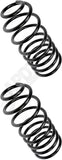 APDTY 144510 Coil Springs