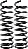 APDTY 144511 Coil Springs Replaces D4DZ5310E, D4DZ5310F