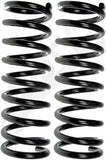 APDTY 144516 Coil Springs Replaces 9781181, 9781611