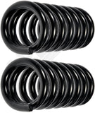 APDTY 144528 Coil Springs Replaces 2440323, 3935896