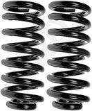 APDTY 144528 Coil Springs Replaces 2440323, 3935896