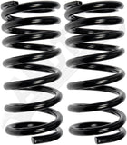 APDTY 144530 Coil Springs Replaces F0SZ5560G