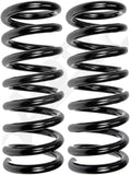 APDTY 144532 Coil Springs Replaces 54010ZR40A, 54010ZR41A