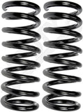 APDTY 144532 Coil Springs Replaces 54010ZR40A, 54010ZR41A