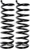 APDTY 144539 Coil Springs Replaces D5DZ5310N, D6DZ5310AB