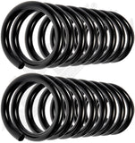 APDTY 144543 Coil Springs