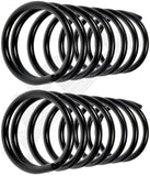 APDTY 144548 Coil Springs