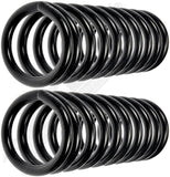 APDTY 144551 Coil Springs Replaces 3874719, 3953906