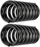 APDTY 144560 Coil Springs