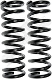 APDTY 144565 Coil Springs Replaces D4AZ5310D, D4AZ5310R