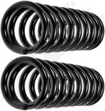 APDTY 144565 Coil Springs Replaces D4AZ5310D, D4AZ5310R
