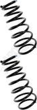 APDTY 144569 Coil Springs Replaces 48231AA210, 48231AA220