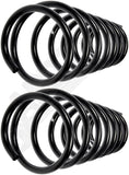 APDTY 144569 Coil Springs Replaces 48231AA210, 48231AA220