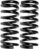 APDTY 144572 Coil Springs