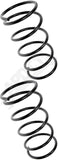 APDTY 144575 Coil Springs