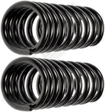 APDTY 144582 Coil Springs