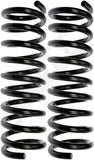 APDTY 144589 Coil Springs Replaces 3862978, 3864720