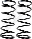 APDTY 144593 Coil Springs