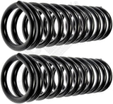APDTY 144596 Coil Springs Replaces 3859075, 3859076