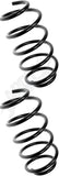 APDTY 144607 Coil Springs