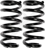 APDTY 144609 Coil Springs