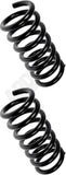 APDTY 144610 Coil Springs Replaces 540107S002, 54010ZQ00A