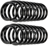 APDTY 144615 Coil Springs