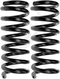 APDTY 144617 Coil Springs Replaces 540107S300, 54010ZQ20A