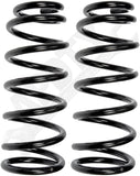APDTY 144630 Coil Springs Replaces 550203Y002, 550203Y004