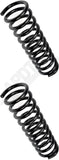 APDTY 144632 Coil Springs Replaces 3923376, 3952809